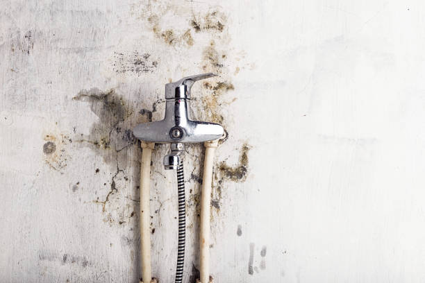 Mold Removal and Inspection in Yosemite Valley, CA