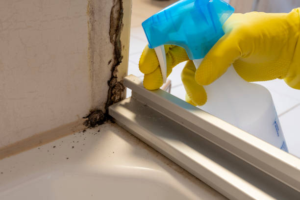Best Crawl Space Mold Removal  in Yosemite Valley, CA