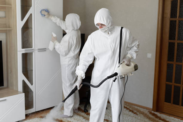 Best Black Mold Removal  in Yosemite Valley, CA