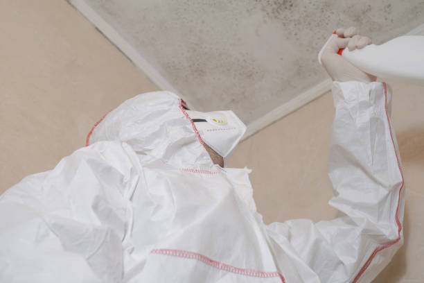 Best Mold Damage Repair  in Yosemite Valley, CA